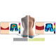 Coussin Balance Seat M
