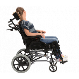 Netti Dynamic System